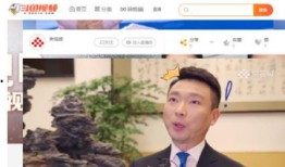 崔永爆料视频北京日报,北京日报深度解析事件真相